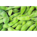 IQF gefroren edamame